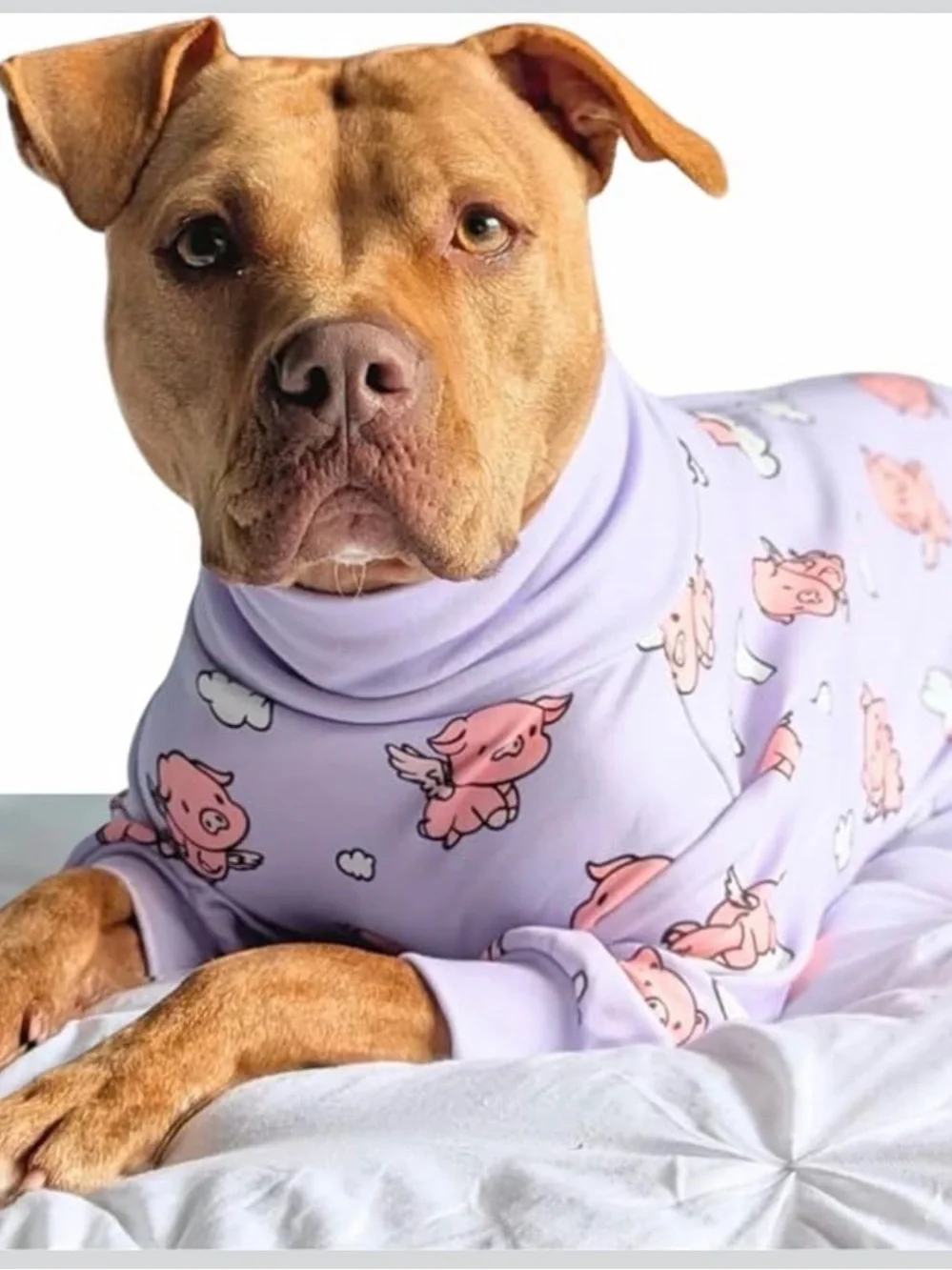 Spark Paws Dog Pajama,Recovery Suit Male, Onesie, Ultra-Soft and 4-Way Stretch